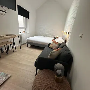 Ixelles - Cozy In Middle Of European District Βρυξέλλες